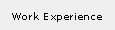 Work Experience