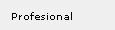 Experiencia Profesional