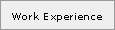 Work Experience