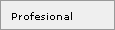 Experiencia Profesional